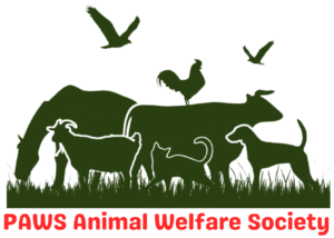 PAWS ANIMAL WELFARE SOCIETY